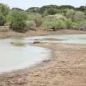 crocs-in-the-mud